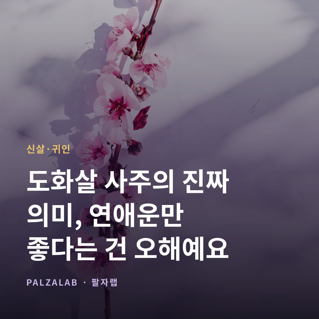 도화살 사주의 진짜 의미, 연애운만 좋다는 건 오해예요